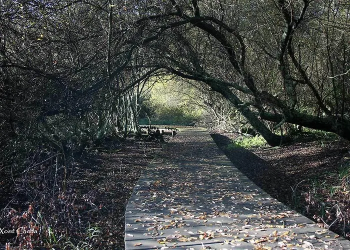 Viento Del Norte מלון 2*