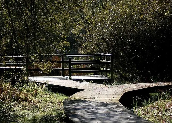 מלון Viento Del Norte 2*